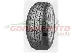 COP. 225/60 R17 G95A 99V